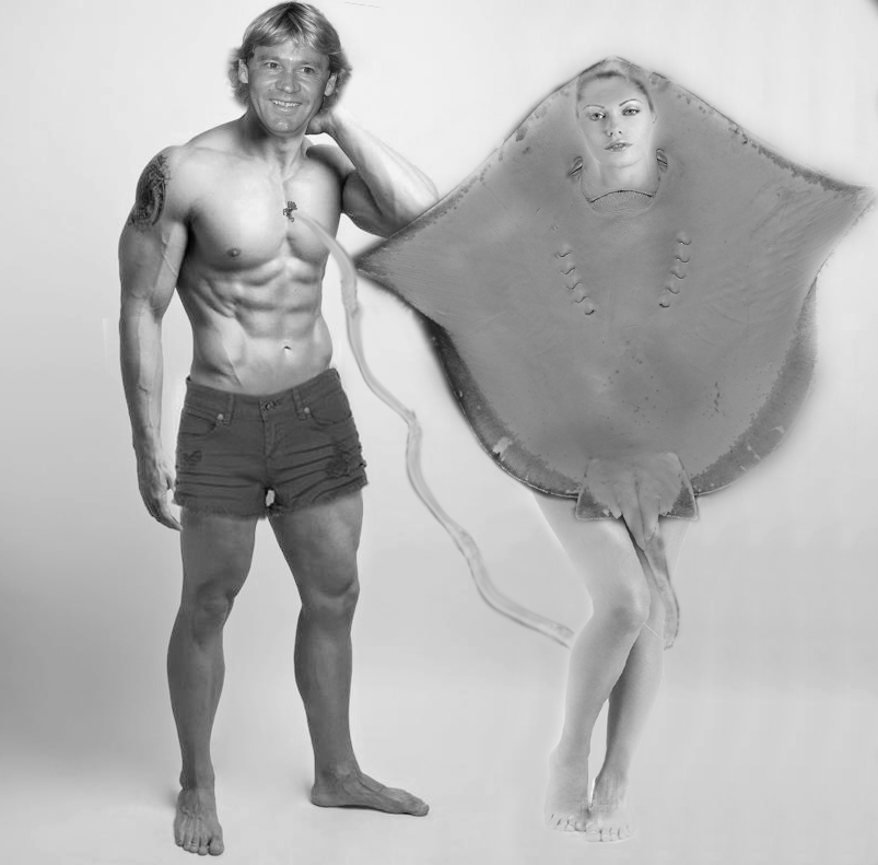 steve irwin stingray costume